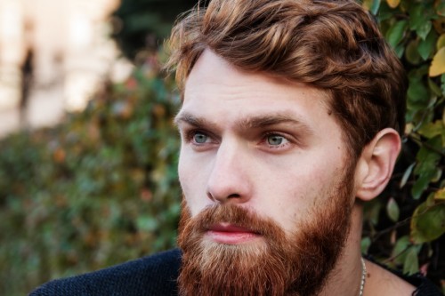 Canadian Single Male swingers